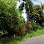 ban-dat-6×40-7m-mat-tien-duong-nhua-10m-ke-tl793-phuong-binh-minh-tay-ninh-full-tho-cu-gia-720-trieu-1