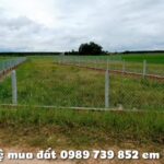 ban-dat-ap-long-hoa-2-xa-long-chu-tay-ninh-1034m2-co-tho-cu-gia-565-trieu