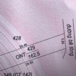 ban-dat-162m2-full-tho-cu-hoa-hoi-chau-thanh-tay-ninh-gia-210-trieu