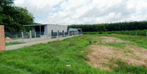 Bán Đất Nở Hậu Hảo Đước Tây Ninh Full Thổ Cư 183.3m² – 190 Triệu