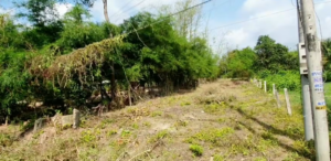 Bán Đất Mặt Tiền Long Thuận Tây Ninh 9x65m Giá 810 Triệu Gần Chợ