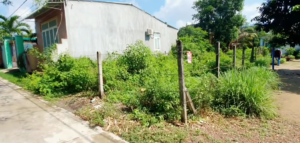 Bán Đất Gần Chợ Thanh Điền Tây Ninh 8x36m Giá 820 Triệu